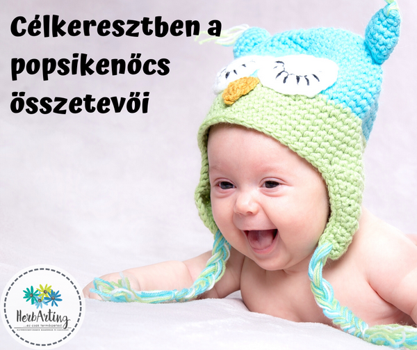 Célkeresztben a popsikenőcs összetevői szakértői cikk HerbArting